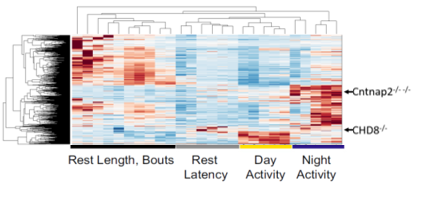 Behavioral fingerprint drug cluster map