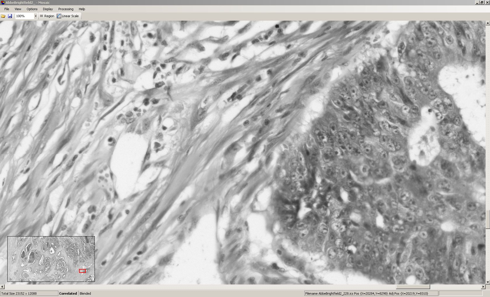 screen shot 1