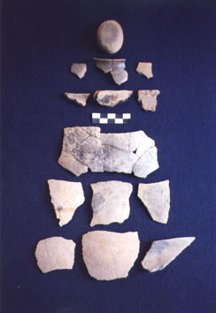 Kudatini finds