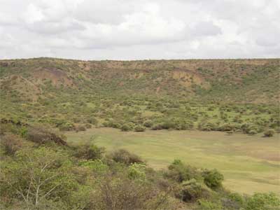 Acacia Albizia savannah