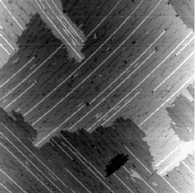 STM image of Bi nanolines in Si(001) 
	surface