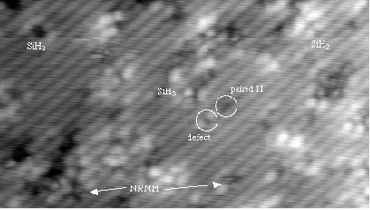 STM image of
	Si(001) in the early stages of disilane adsorption