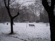 Gordon Square, winter