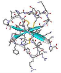 Antimicrobial Peptides