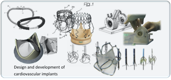 Design&Development