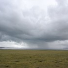 Rain on Tibet Plateau