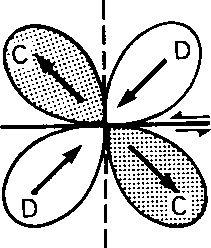 P radiation pattern