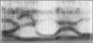 spectrogram_aiueo_org