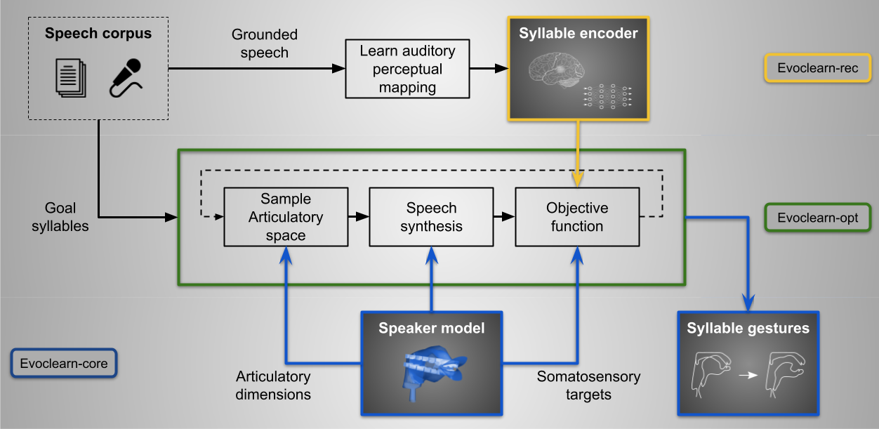 Evoclearn opt