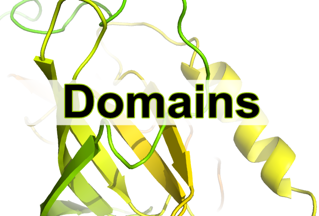 Domains