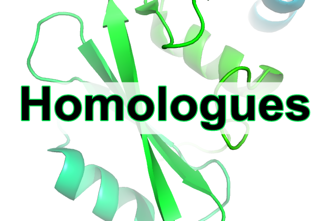 Homologues