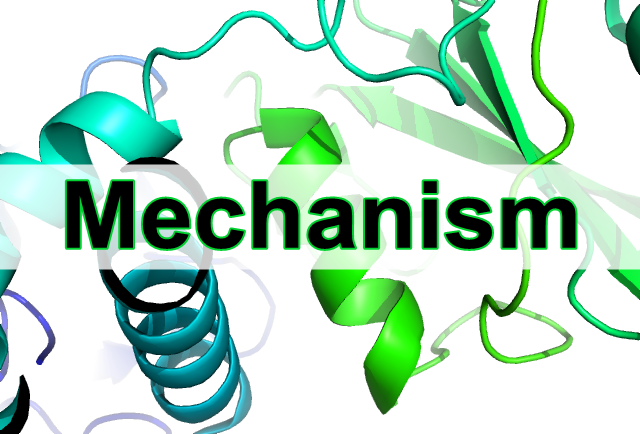 Mechanism