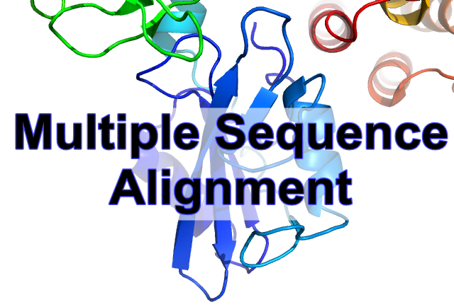 Multiple Sequence Alignment