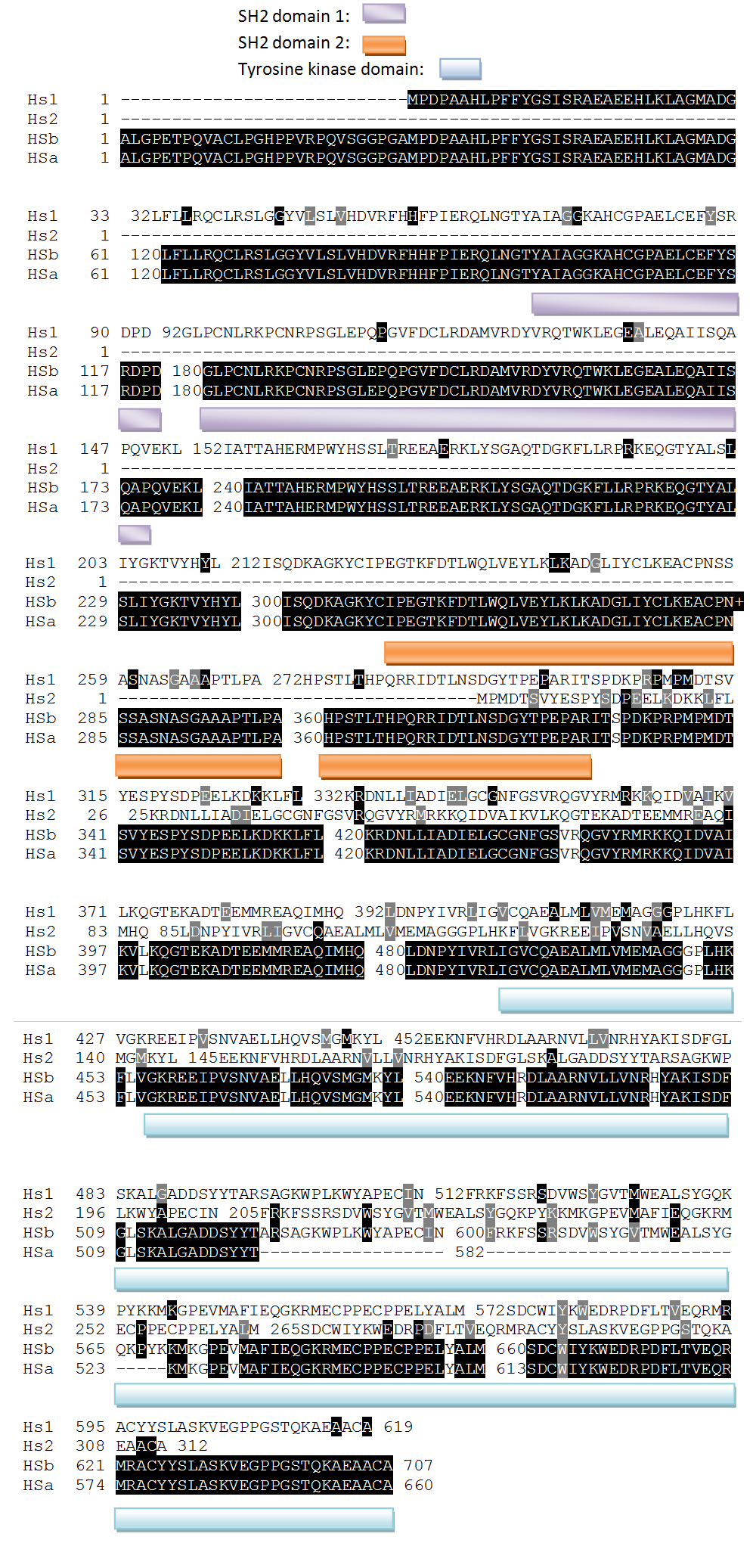 Human Multiple Sequence Alightment