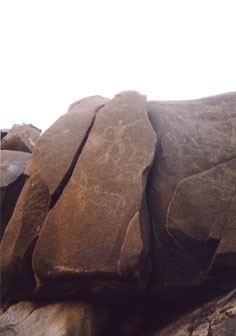 Rock art at Hiregudda