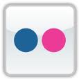flickr logo