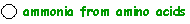 ammonia from amino acids