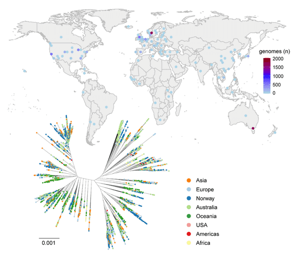 Overview of the sample collection.