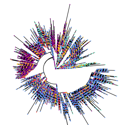 SARS-CoV-2 and the coronaviridae