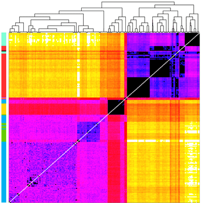 Ancient DNA as a toolkit to explore the past - secondary image