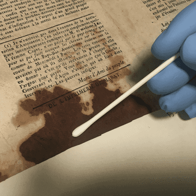 Ancient DNA as a toolkit to explore the past - tertiary image