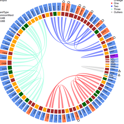 The emergence and spread of antimicrobial resistance - tertiary image