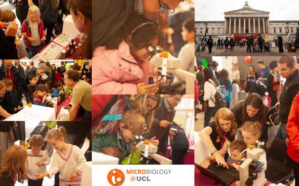 UCL It's All Academic Festival 2019 'The Wonderful World of Microbes' stand
