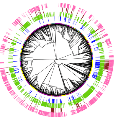 Factors driving genetic diversity in human pathogens - secondary image