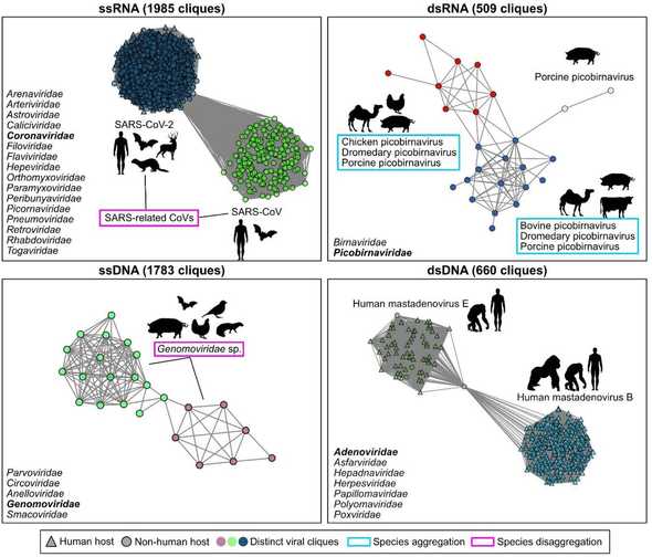 Taxonomy-agnostic approach for identifying equivalent units of viral diversity.