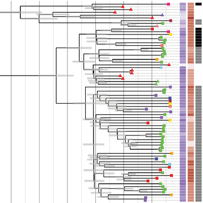 Factors driving genetic diversity in human pathogens