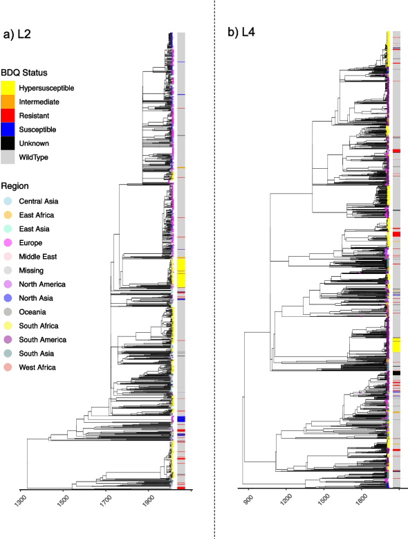 Global time-calibrated Mtb phylogenies
