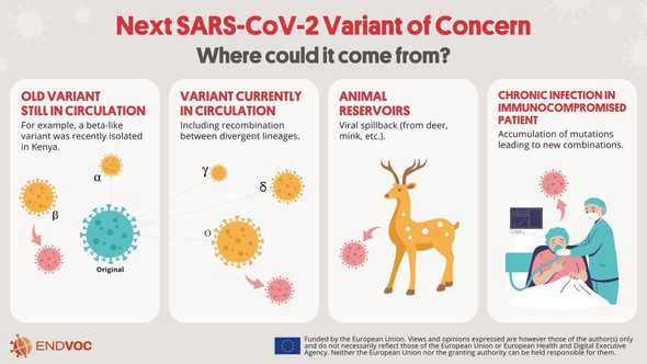 What are the possible sources for a new Variant of Concern?