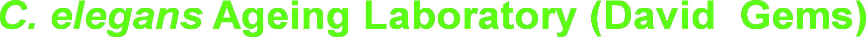 C. elegans laboratory (David Gems)