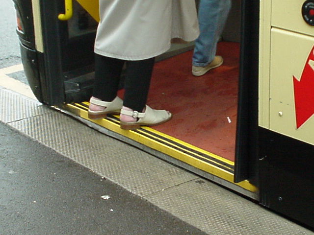 if you had a suitable browser you would see a photograph of an accessible bus stop in Brighton