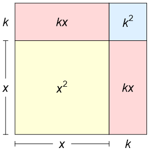 exp-box
